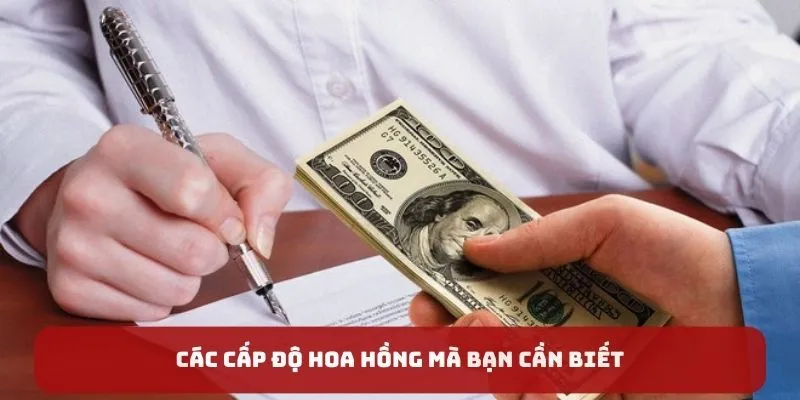 Các cấp độ hoa hồng mà bạn nên biết