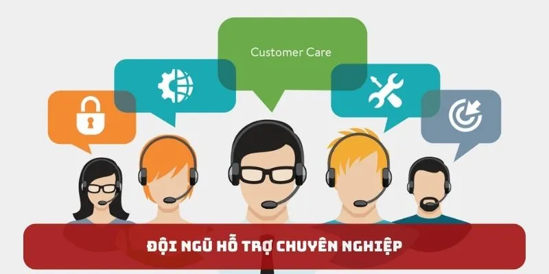 Đội ngũ hỗ trợ chuyên nghiệp